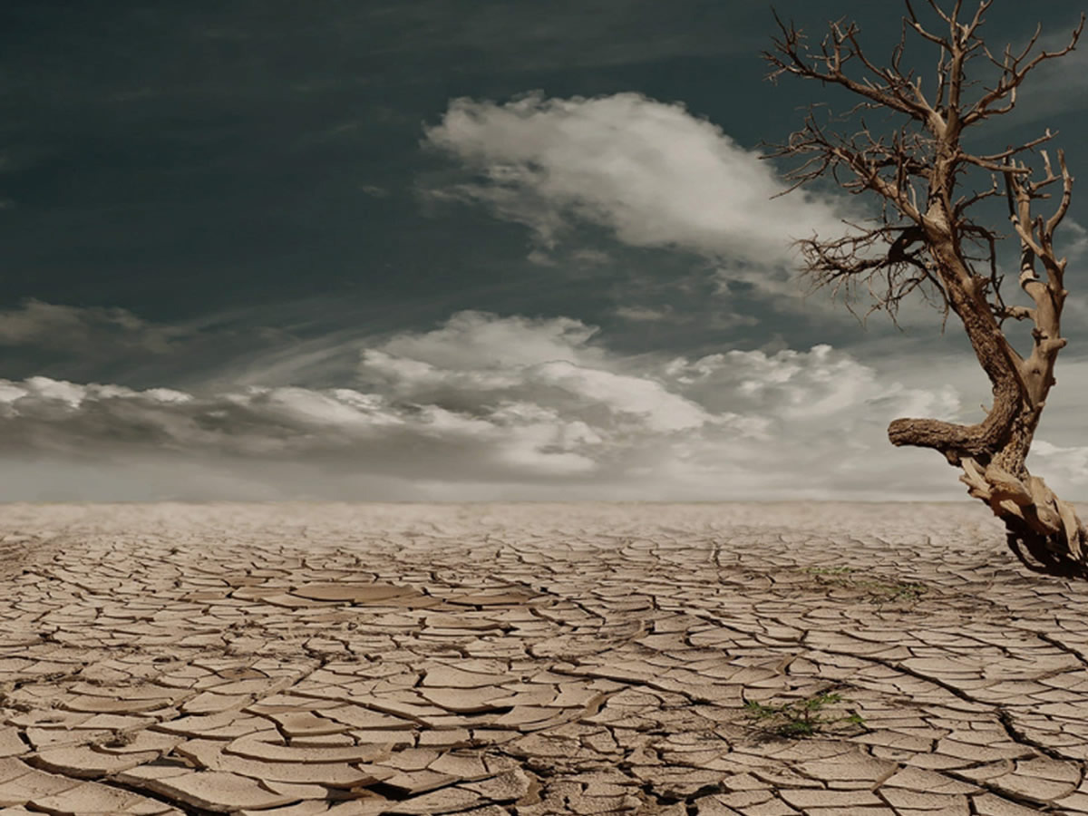 Imarisha! Energie rurali per la lotta al cambiamento climatico